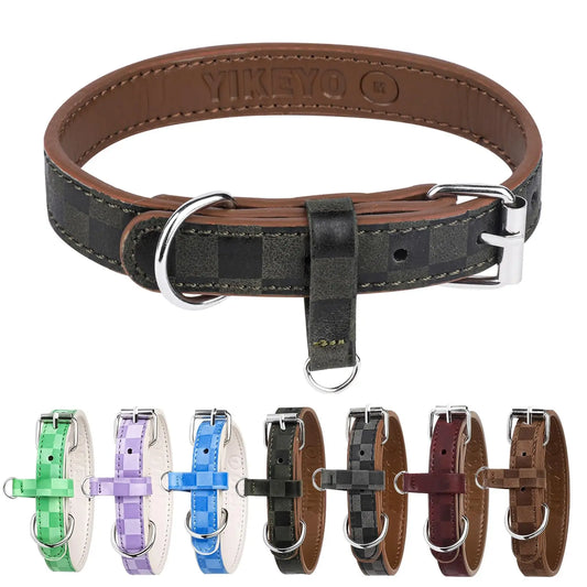 Dog Collars