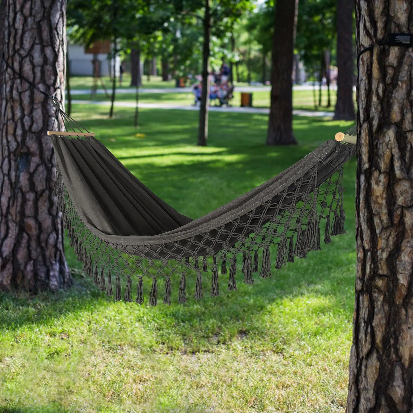 Hammock