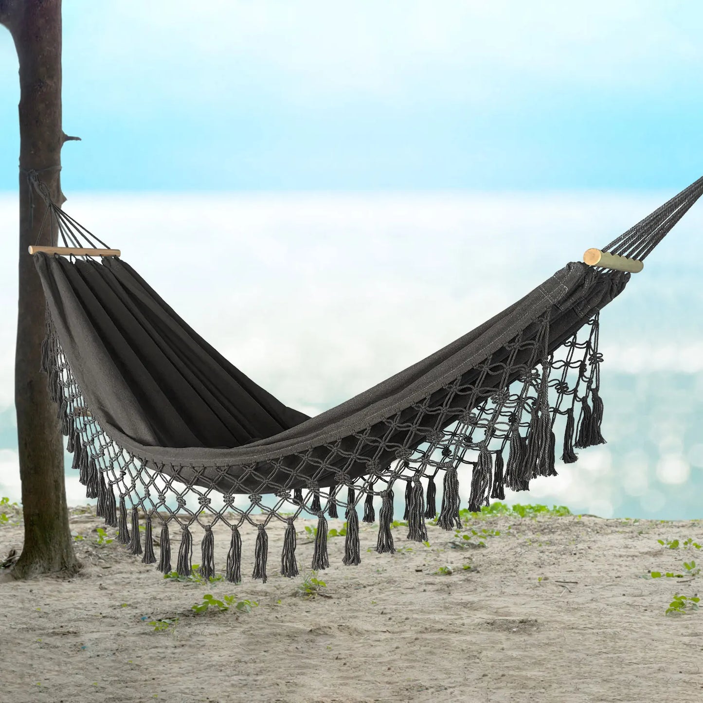 Hammock